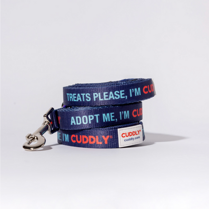 Adopt me, I'm CUDDLY Leash