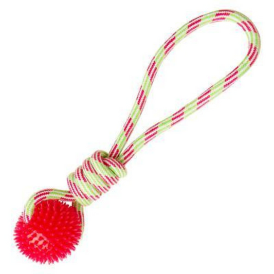 Snugarooz Spike-O-Mite Dog Toy