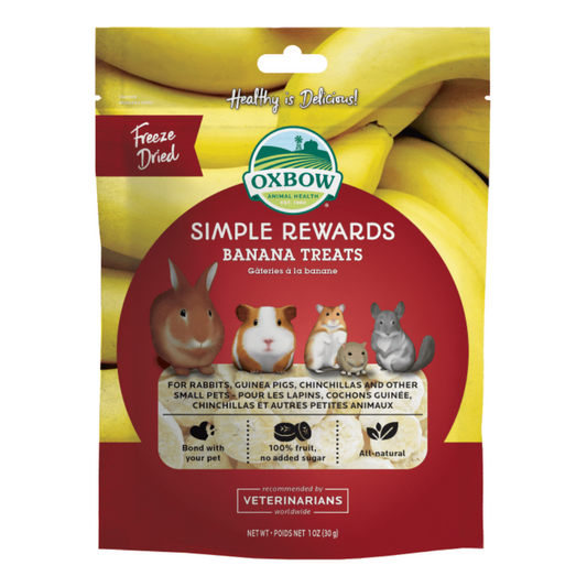 Oxbow Simple Rewards Freeze-Dried Banana Treats for Rabbits, Guinea Pigs, and Other Small Animals