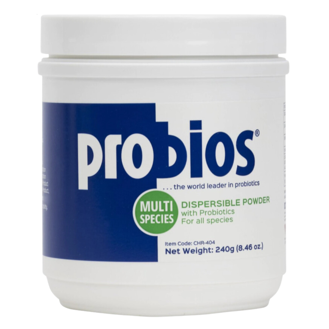 Probios Dispersible Powder