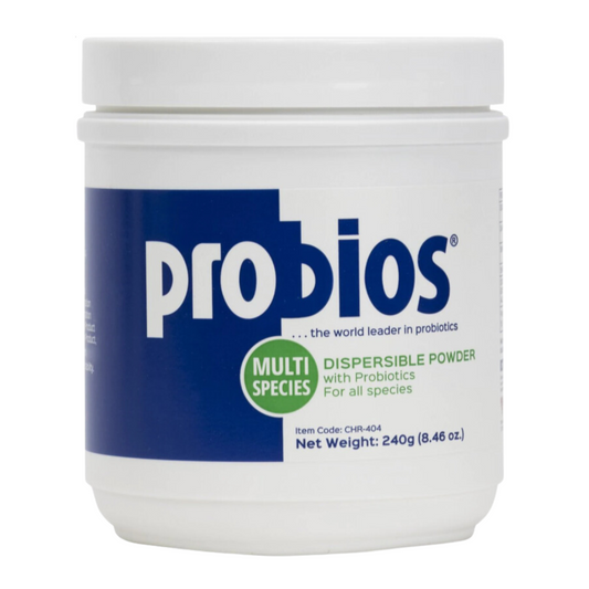 Probios Dispersible Powder