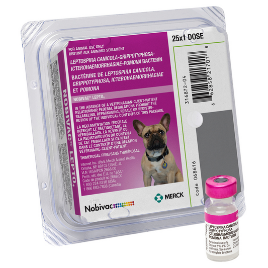 Nobivac Lepto4 Canine Vaccine, Tray of 25