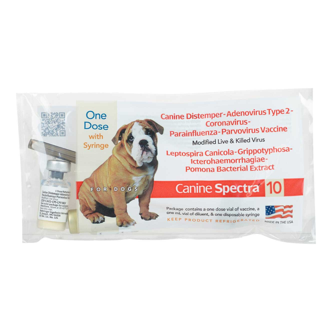 Spectra 10 Vaccine For Dogs Spectra 10 Vaccine For Dogs