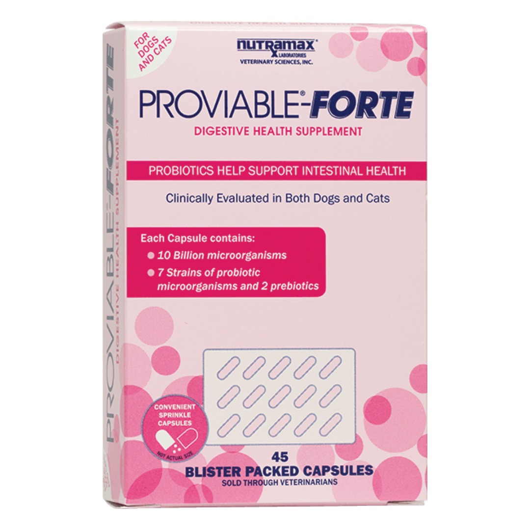 Proviable-Forte Probiotic Digestive Health Supplement