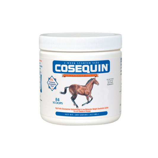 Cosequin Equine Powder