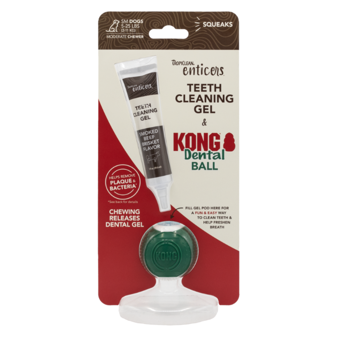 KONG Dental Ball Kit with TropiClean Enticers Gel