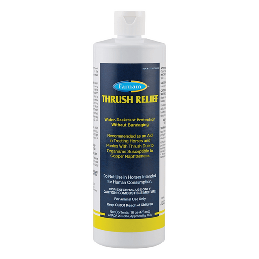 Farnam Thrush Relief