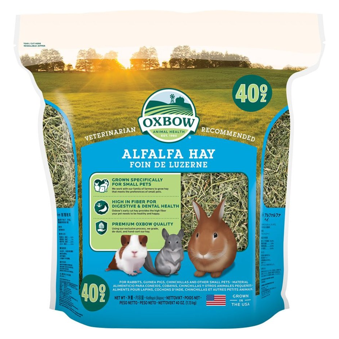 Oxbow Alfalfa Hay for Rabbits, Guinea Pigs, and Other Small Animals