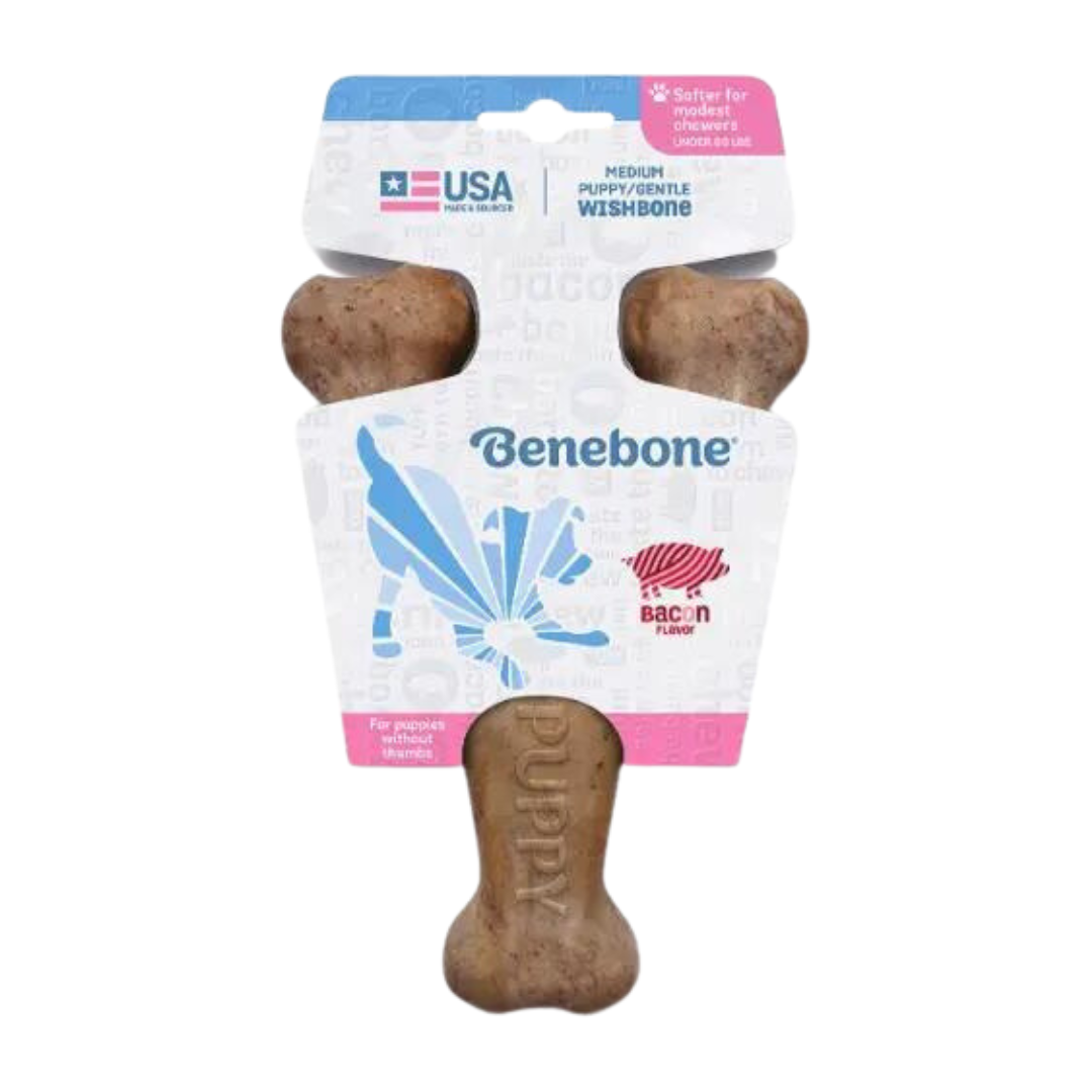 Benebone Bacon Puppy Wishbone