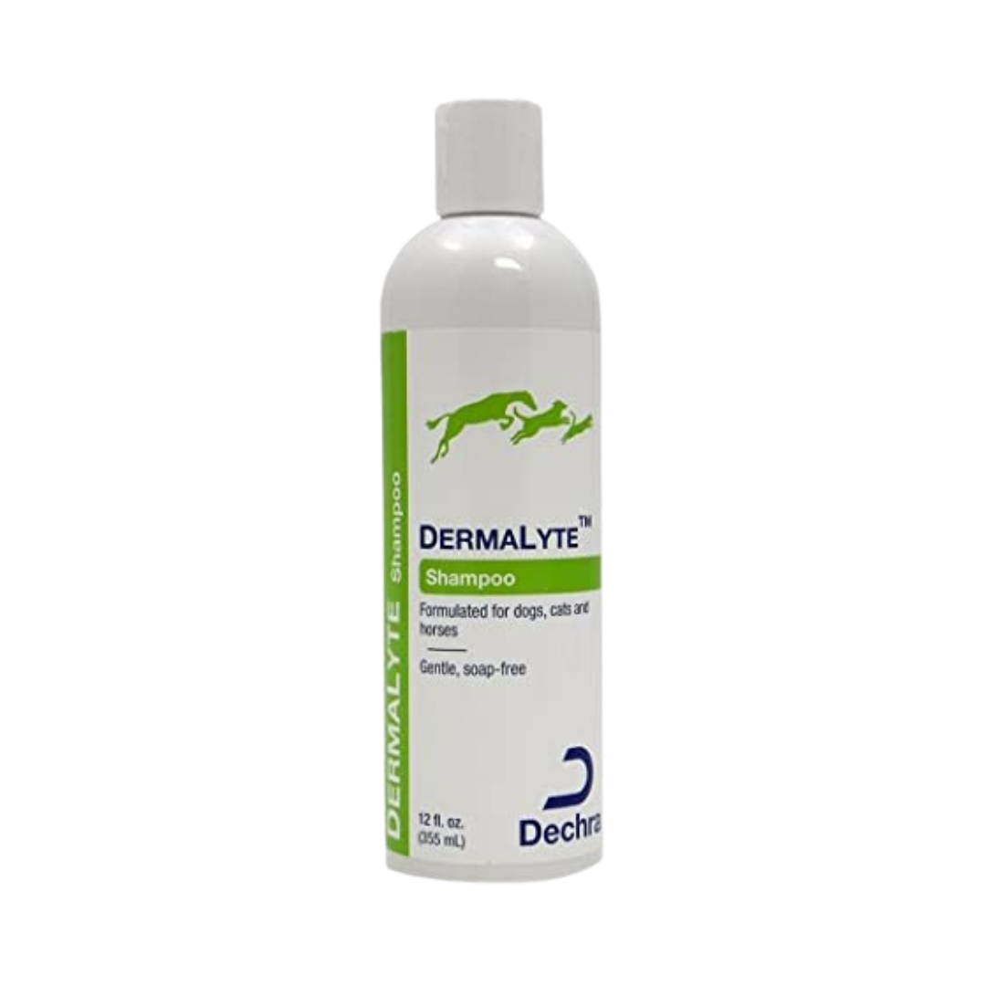 Dermalyte Shampoo